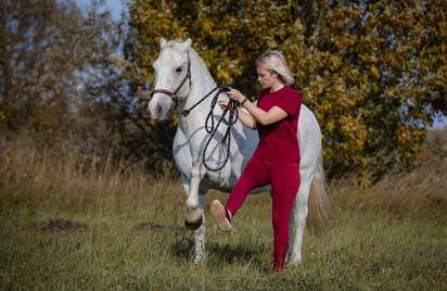 Семинары по Natural Horsemanship - осталось 2 места!
