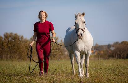 Семинары по Natural Horsemanship - осталось 2 места!