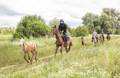 Аванпост 13+