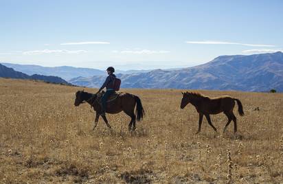 Армения Эрмон 12+