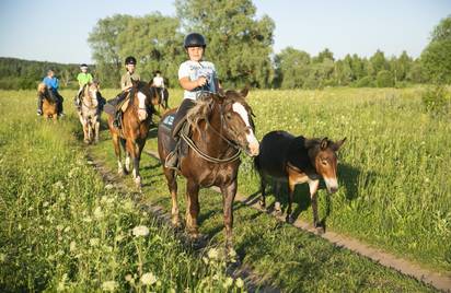 Аванпост, 1 смена 12+