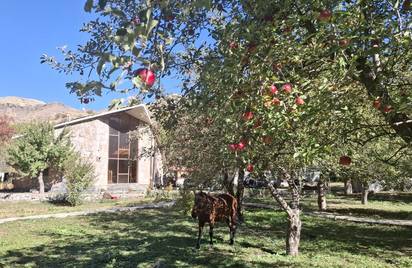 Армения Эрмон 12+