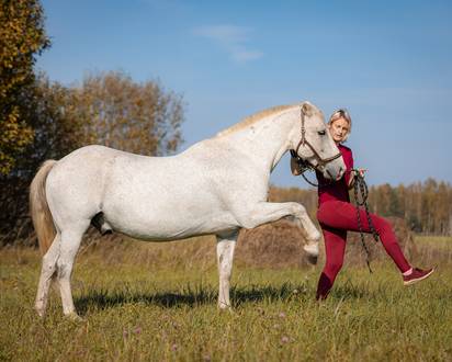 Семинары по Natural Horsemanship - осталось 1 место!