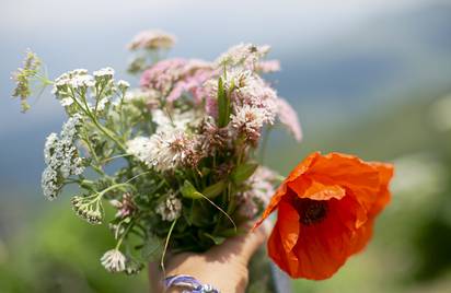 Армения Севан 12+ - мест нет