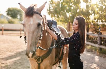 Что такое Natural Horsemanship