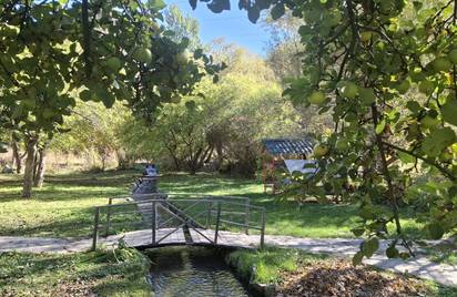 Армения Эрмон 12+