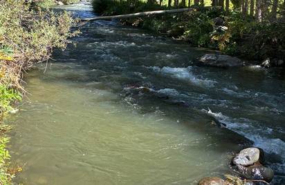 Армения Эрмон 12+