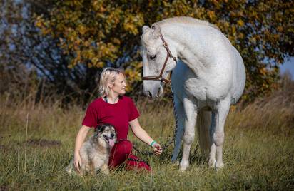 Семинары по Natural Horsemanship - осталось 2 места!