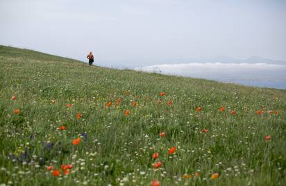 Армения Севан 12+ - мест нет