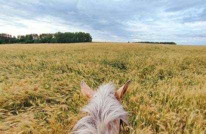 Нижегородская область 12+