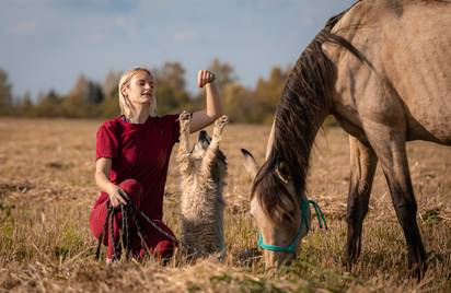 Семинары по Natural Horsemanship - осталось 2 места!