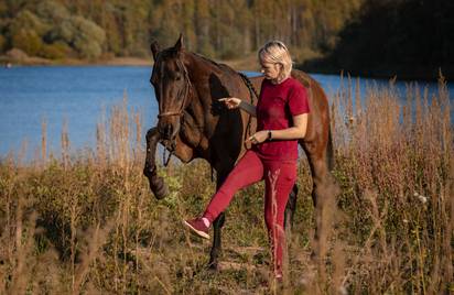 Семинары по Natural Horsemanship - осталось 2 места!
